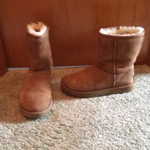 Ugg’s short boot (chestnut)